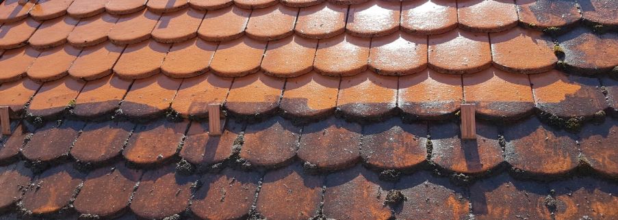 Démoussage et nettoyage de toiture à Villemomble (93250) en Seine-Saint-Denis (93)